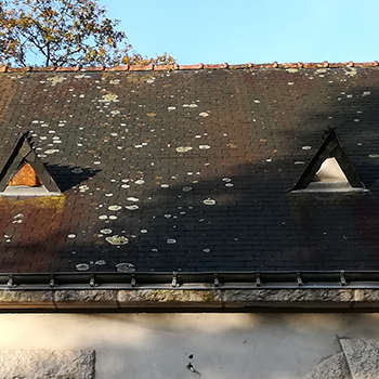 Votre expert en rénovation intérieure à Camors